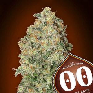 Chocolate Skunk Auto
