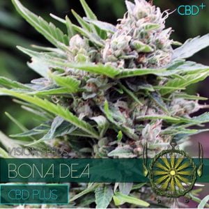 Bona Dea - CBD+