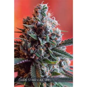 Dark Star X AK-49