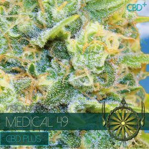 Medical 49 - CBD+